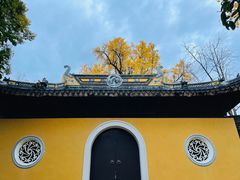 -苏州上方山国家森林公园