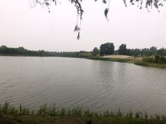 -东郊湿地公园