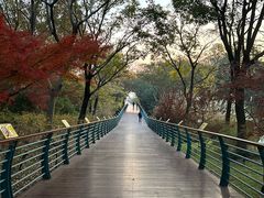 -上海吴淞炮台湾国家湿地公园