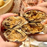 丽江民宿开云体育- 开云体育官方网站- 开云体育APP 最新2025提质升级——打造诗意旅居目的地