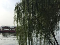 -金鸡湖桃花岛