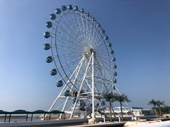 -秦皇岛乐岛海洋王国