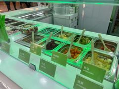 -Salud撒露欧洲冻酸奶(五道口购物中心店)