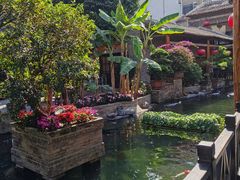 -猪肉婆私房菜(容桂总店)