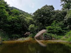 -鲁山国家森林公园