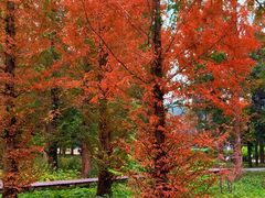 -国家植物园南园