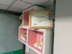 -半岛宠物医院24小时(科华中路店)