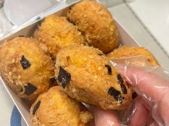 -蒲公英(五里店)