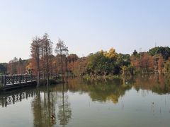 -海珠湖公园