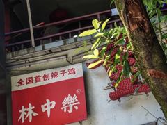 -林中乐辣子鸡(歌乐山总店)