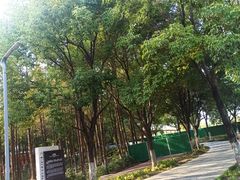 -武汉园博园(武汉自然博物馆)