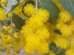 -眉山湿地公园(东坡区)