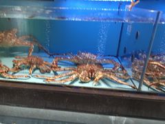-阿伟海鲜楼·福建菜(延寿店)