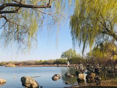 -石家庄市植物园