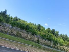 -五营国家森林公园