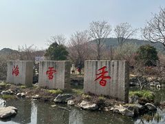 -香雪海