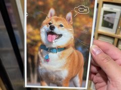 -猫的天空之城概念书店(苏州诚品店)