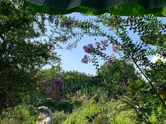 -东湖落雁景区