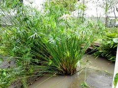 android_upload_pic-中国红海