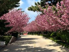 -石岛赤山风景区