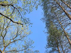 -杭州花家山庄