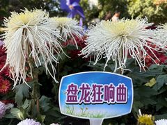 -汇龙潭