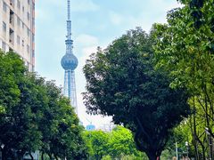 -文华公园(禅城区)