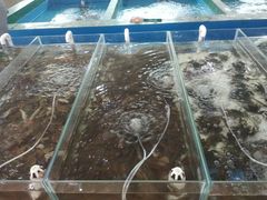 -四海鲜渔家菜(黄金海岸店)