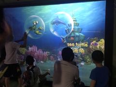 -陕西自然博物馆