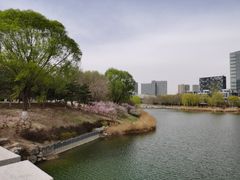 -大兴滨河森林公园