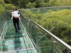 -陶祖圣境风景区