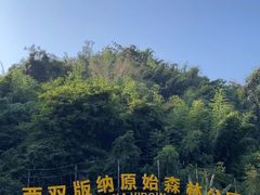 -西双版纳原始森林公园