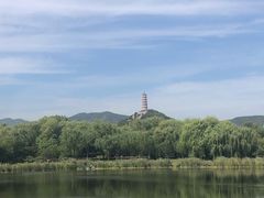 -北坞公园