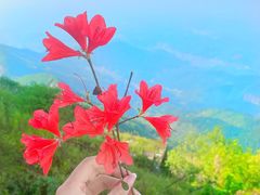 -南岳衡山风景名胜区