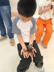 -Moni星球萌宠·小马宝莉·灵蛇·高端高阶全萌宠互动体验俱乐部(红豆国际广场店)
