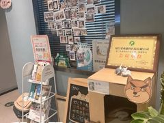 -御宝贝·A梦猫科宠物医院(国际猫友好医院)