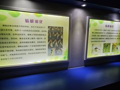 -上海昆虫博物馆