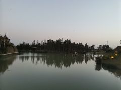 -瑶湖郊野森林公园