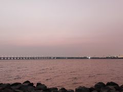 -宝安西湾红树林湿地公园