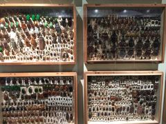 -墨尔本博物馆(Melbourne Museum)