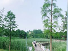 -同里国家湿地公园
