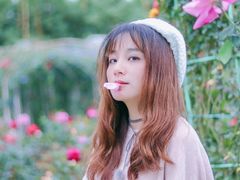 -百万葵园