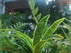 -吕氏疙瘩汤·海鲜新鲁菜(凯德mall新都心店)