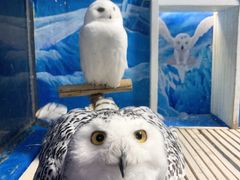 -成都浩海立方海洋公园