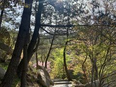 -崂山巨峰游览区