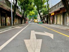 -清平中药材专业市场