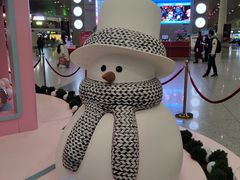 -首都机场t3-c国航两舱休息室