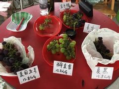 -马陆小张葡萄园农家乐