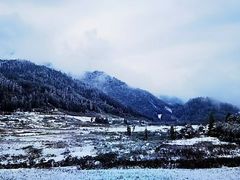 -龙苍沟森林公园