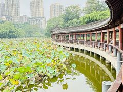 -龙头寺公园